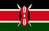 TGM Panel Bargeld verdienen in Kenia