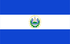 TGM Panel Forschung Marktforschungsumfragen in El Salvador