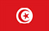 TGM-Umfragen, um Bargeld in Tunesien zu verdienen