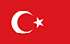 TGM-Umfragen, um Geld in der Türkei zu verdienen