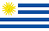 TGM Schnellforschungspanel Forschung in Uruguay